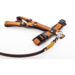 Bild von Elbhunde Set Leine & Brustgeschirr in braun-bernstein XS Biothane (Größe L)