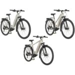 Bild von FISCHER E-Bike ATB »Terra 4.0i«, 29 Zoll