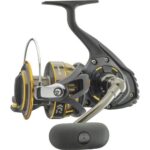 Bild von Daiwa Rolle BG Modellgröße 8000