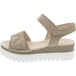 Bild von Gabor desert 7.5 female